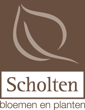 scholten.png, 53kB